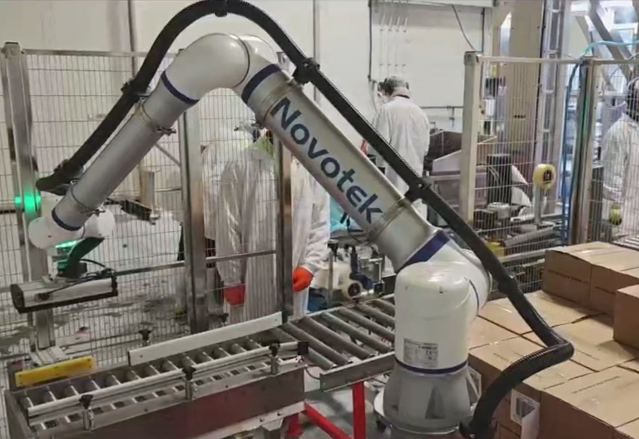 Leveraging Automated Palletizing